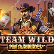 image slots team wild